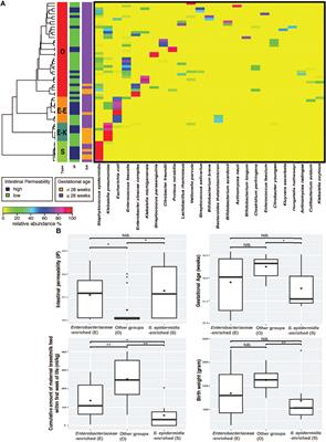 Altered Gut Microbiome and Fecal Immune Phenotype in Early Preterm Infants With Leaky Gut